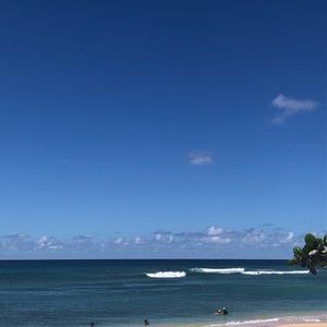 Meet your Posher, Rylie